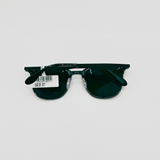 Raybans - Polarised Green Classic Sunglasses